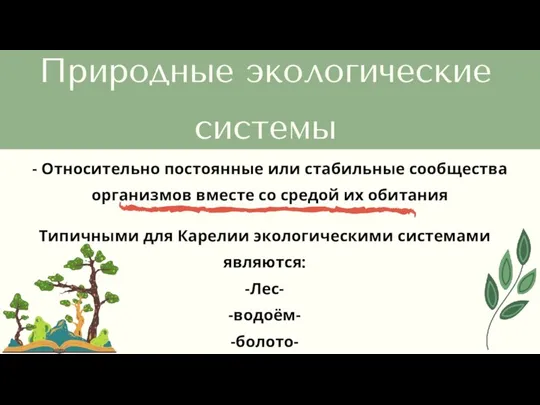 Природные экологические системы - Относительно постоянные или стабильные сообщества организмов вместе со