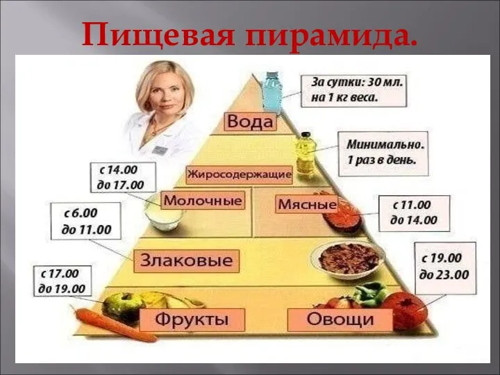 Пищевая пирамида.