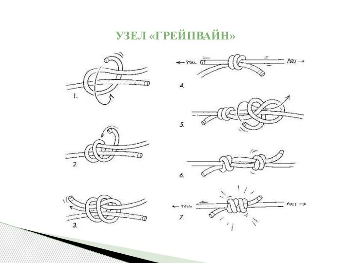 УЗЕЛ «ГРЕЙПВАЙН»