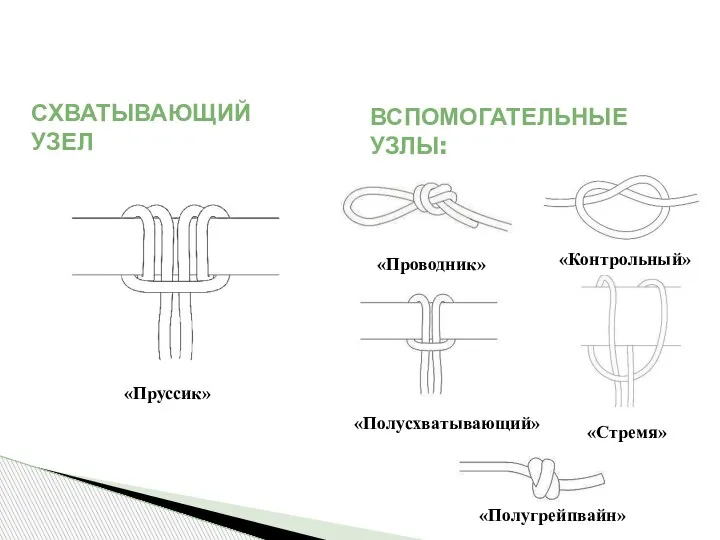 СХВАТЫВАЮЩИЙ УЗЕЛ ВСПОМОГАТЕЛЬНЫЕ УЗЛЫ: «Пруссик» «Стремя» «Проводник» «Контрольный» «Полусхватывающий» «Полугрейпвайн»