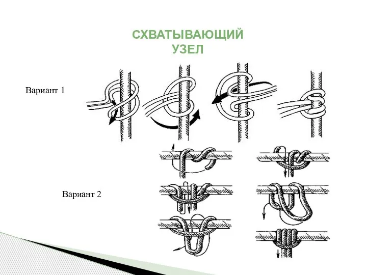 СХВАТЫВАЮЩИЙ УЗЕЛ «ПРУССИК» Вариант 1 Вариант 2