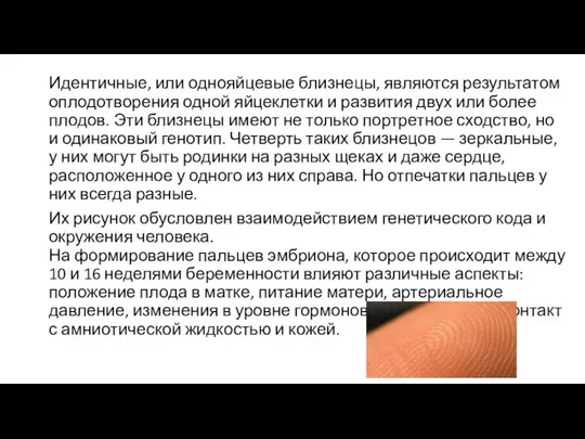 Идентичные, или однояйцевые близнецы, являются результатом оплодотворения одной яйцеклетки и развития двух