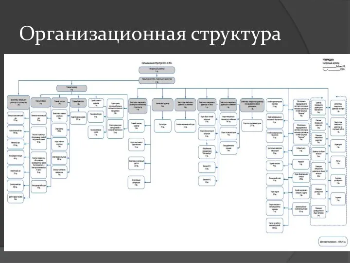 Организационная структура