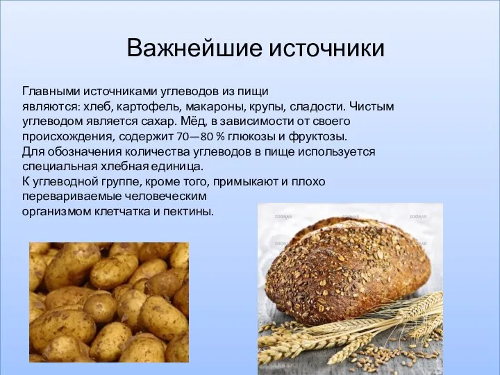 Важнейшие источники Главными источниками углеводов из пищи являются: хлеб, картофель, макароны, крупы,