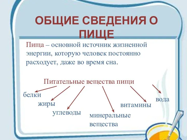 ОБЩИЕ СВЕДЕНИЯ О ПИЩЕ Пища – основной источник жизненной энергии, которую человек