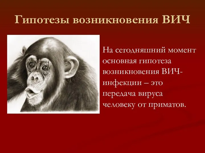 На сегодняшний момент основная гипотеза возникновения ВИЧ-инфекции – это передача вируса человеку