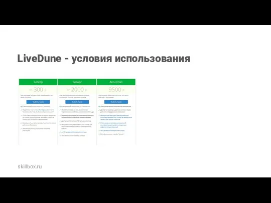 LiveDune - условия использования skillbox.ru