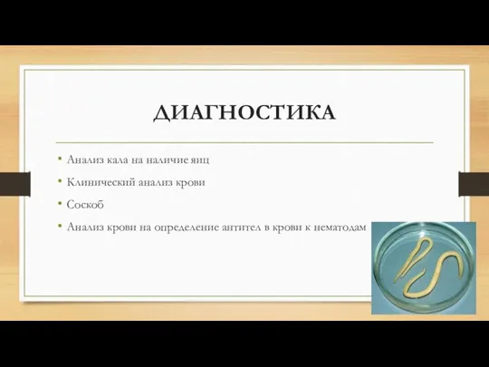 ДИАГНОСТИКА Анализ кала на наличие яиц Клинический анализ крови Соскоб Анализ крови