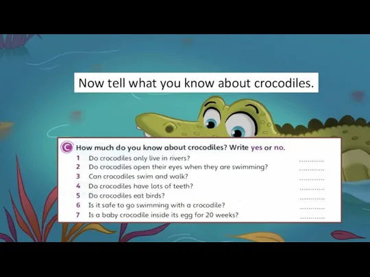 Now tell what you know about crocodiles.