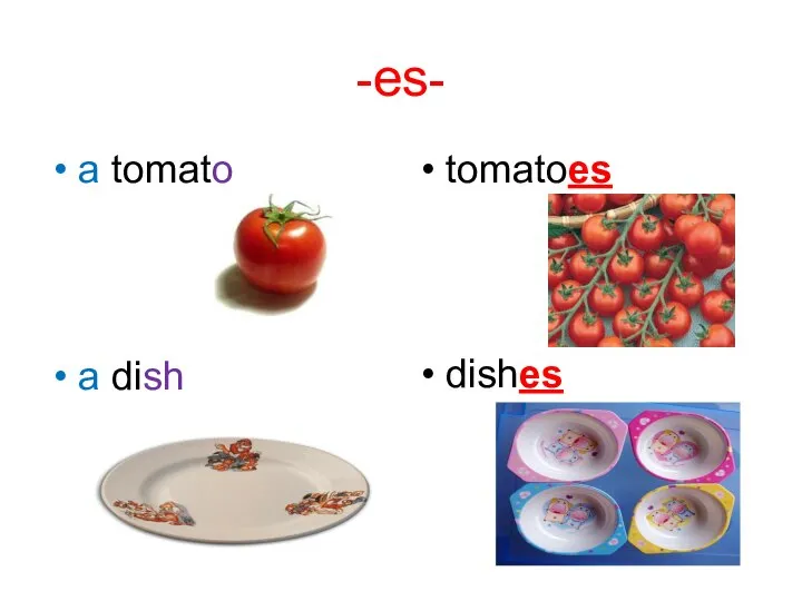 -es- a tomato tomatoes a dish dishes