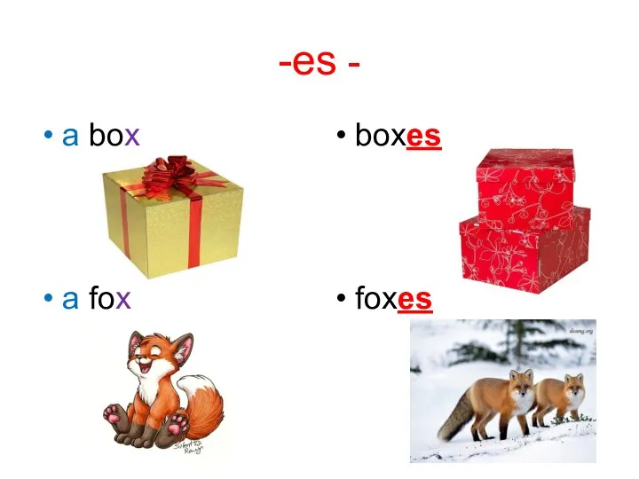-es - a box boxes a fox foxes