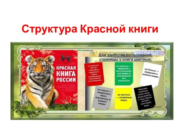 Структура Красной книги