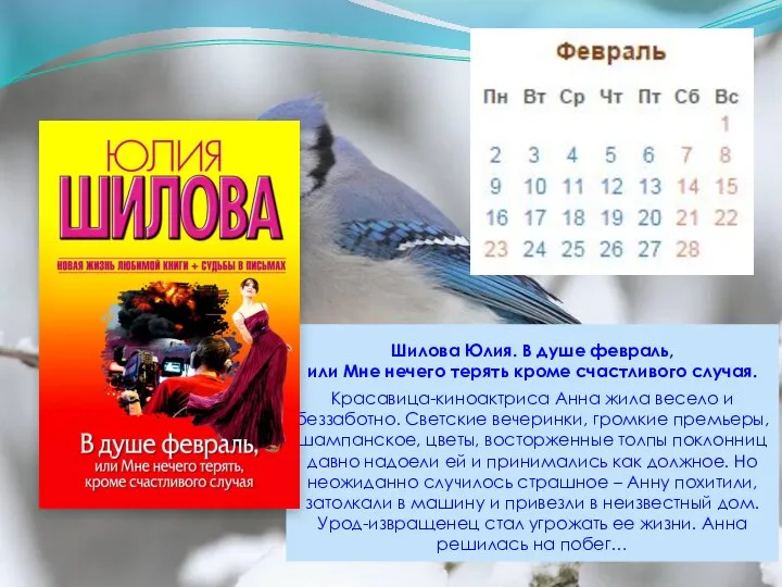 Шилова Юлия. В душе февраль, или Мне нечего терять кроме счастливого случая.