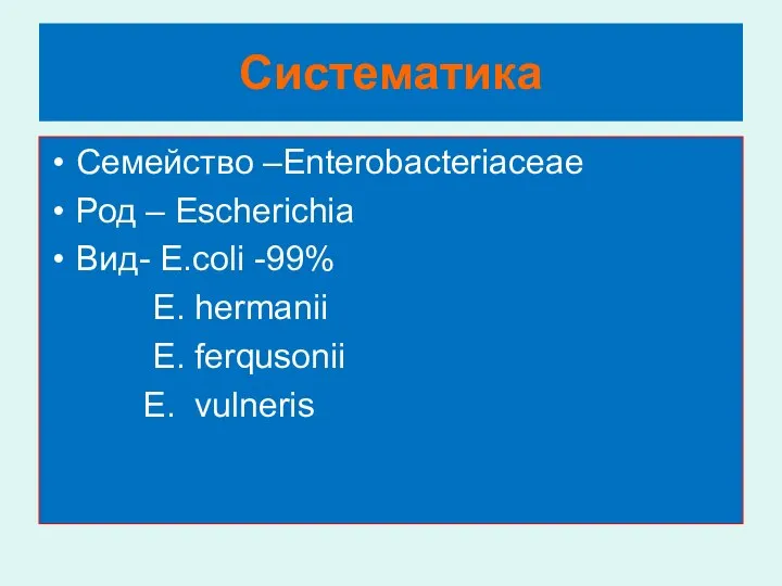 Систематика Семейство –Enterobacteriaceae Род – Escherichia Вид- E.coli -99% E. hermanii E. ferqusonii E. vulneris