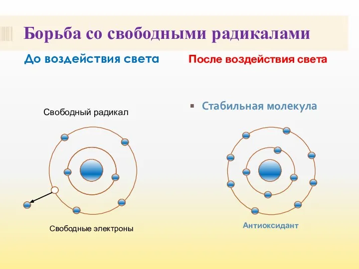 Борьба со свободными радикалами До воздействия света После воздействия света Стабильная молекула