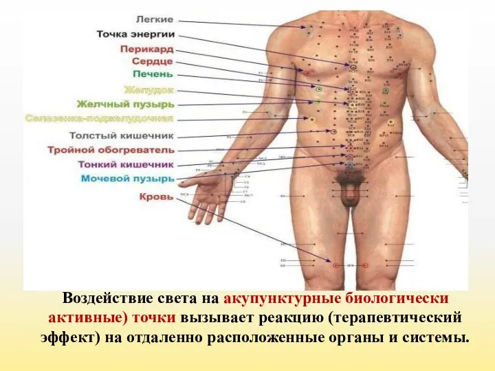 Воздействие света на акупунктурные биологически активные) точки вызывает реакцию (терапевтический эффект) на