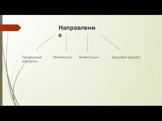 Направление Природные ресурсы Инновации Инвестиции Трудовой ресурс