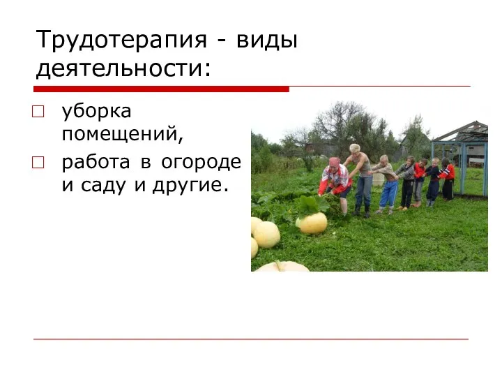 Трудотерапия - виды деятельности: уборка помещений, работа в огороде и саду и другие.