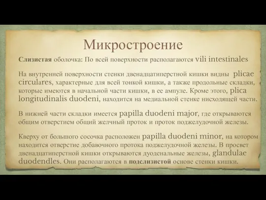 Микростроение Слизистая оболочка: По всей поверхности располагаются vili intestinales На внутренней поверхности