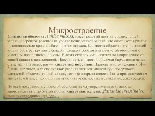 Микростроение Слизистая оболочка, tunica mucosa, имеет розо­вый цвет на уровне, тощей кишки