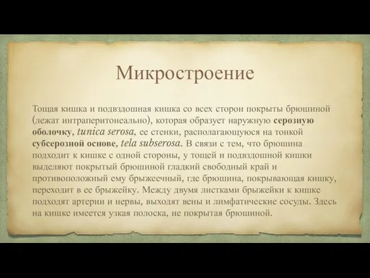 Микростроение Тощая кишка и подвздошная кишка со всех сторон покрыты брюшиной (лежат