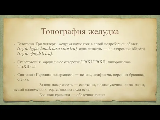 Топография желудка Голотопия:Три четверти желудка находятся в левой подреберной области (regio hypochondriaca