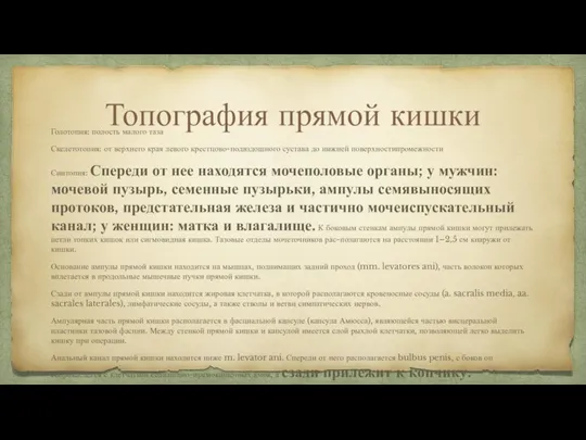 Топография прямой кишки Голотопия: полость малого таза Скелетотопия: от верхнего края левого