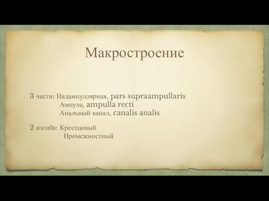 Макростроение 3 части: Надампуллярная, pars supraampullaris Ампула, ampulla recti Анальный канал, canalis