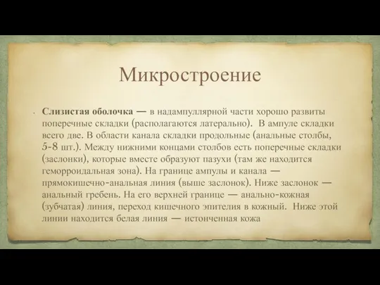 Микростроение Слизистая оболочка — в надампуллярной части хорошо развиты поперечные складки (располагаются