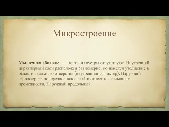 Микростроение Мышечная оболочка — ленты и гаустры отсутствуют. Внутренний циркулярный слой расположен