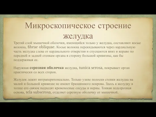 Микроскопическое строение желудка Третий слой мышечной оболочки, имеющийся только у желудка, составляют