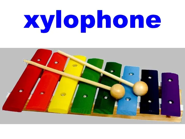 xylophone