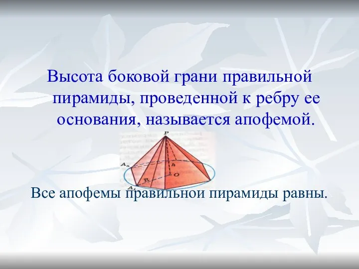 Высота боковой грани правильной пирамиды, проведенной к ребру ее основания, называется апофемой.