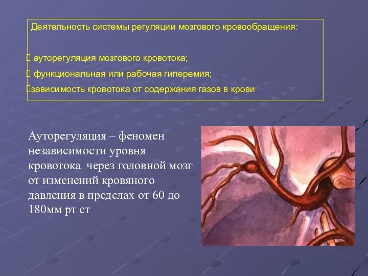 Деятельность системы регуляции мозгового кровообращения: ауторегуляция мозгового кровотока; функциональная или рабочая гиперемия;