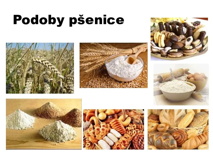 Podoby pšenice