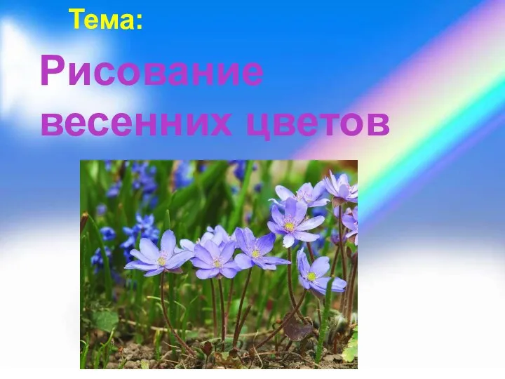 Тема: Рисование весенних цветов