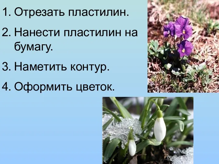 Отрезать пластилин. Нанести пластилин на бумагу. Наметить контур. Оформить цветок.