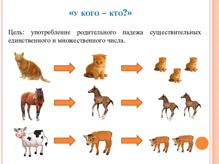 «у кого – кто?» Цель: употребление родительного падежа существительных единственного и множественного числа.