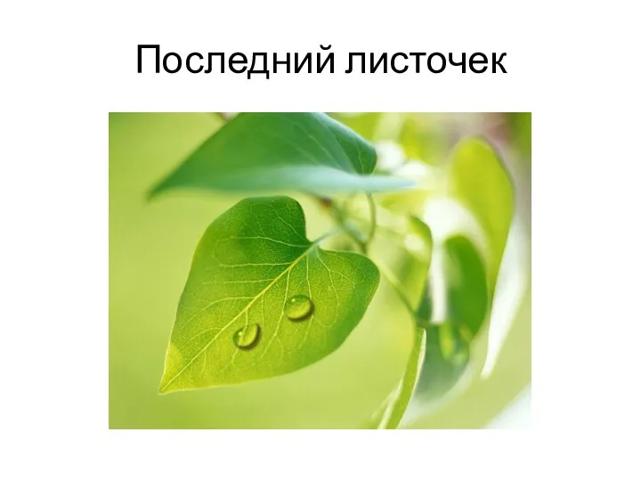 Последний листочек