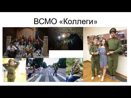 ВСМО «Коллеги»