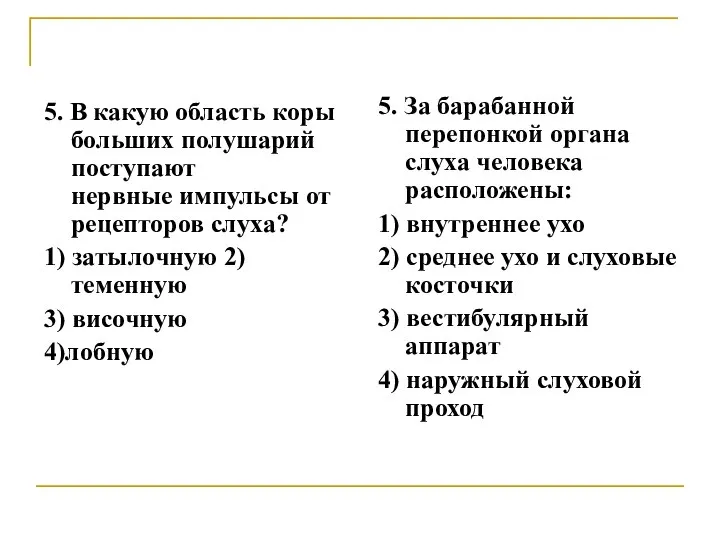 5. В какую область коры больших полушарий поступают нервные импульсы от рецепторов