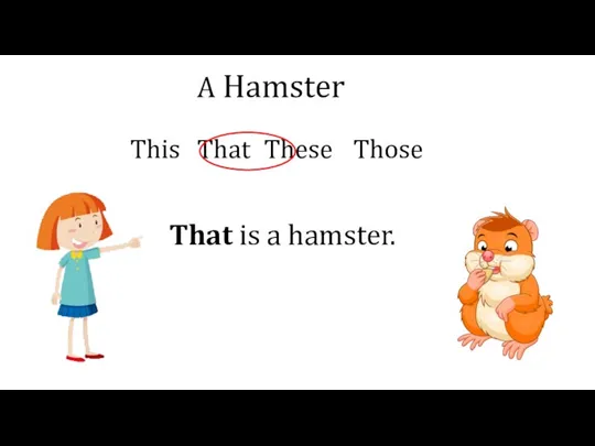 A Hamster This That These Those That is a hamster.