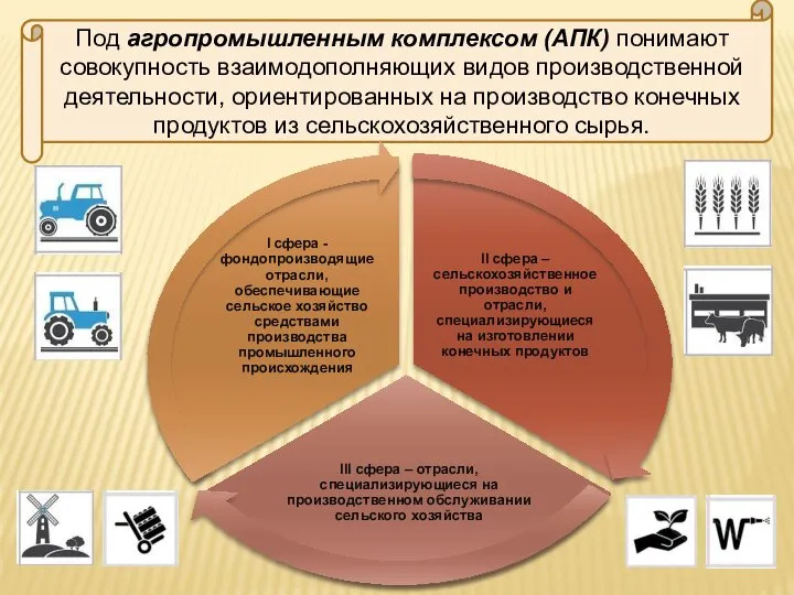 Под агропромышленным комплексом (АПК) понимают совокупность взаимодополняющих видов производственной деятельности, ориентированных на