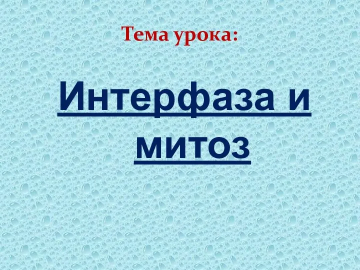 Тема урока: Интерфаза и митоз