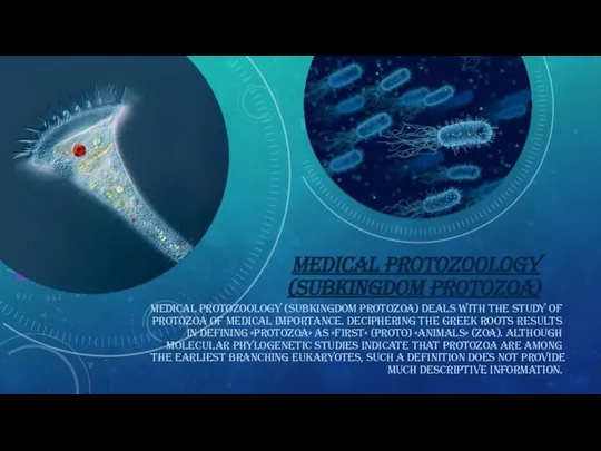 MEDICAL PROTOZOOLOGY (SUBKINGDOM PROTOZOA) MEDICAL PROTOZOOLOGY (SUBKINGDOM PROTOZOA) DEALS WITH THE STUDY