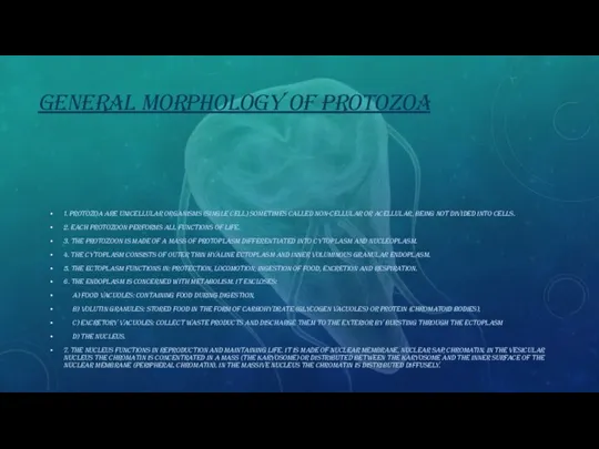 GENERAL MORPHOLOGY OF PROTOZOA 1. Protozoa are unicellular organisms (single cell) sometimes