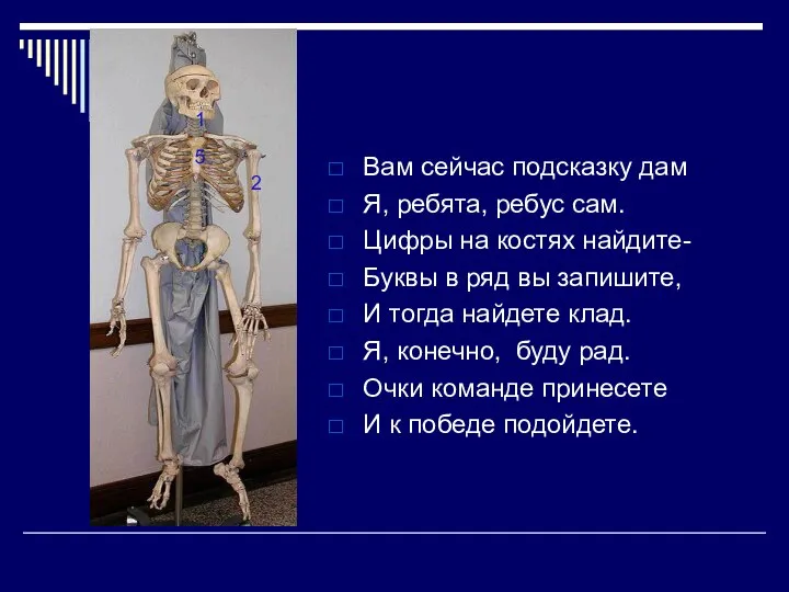 Вам сейчас подсказку дам Я, ребята, ребус сам. Цифры на костях найдите-