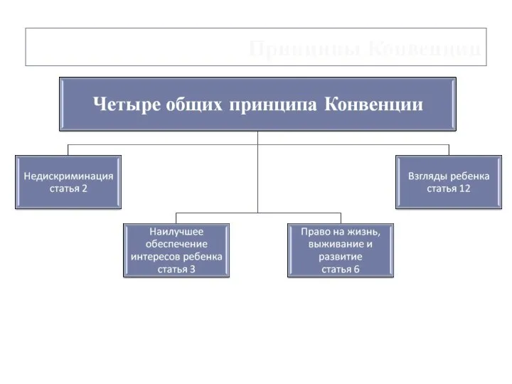 Принципы Конвенции