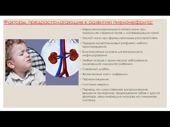 Факторы, предрасполагающие к развитию пиелонефрита: Нарушения нормального оттока мочи при аномалиях строения