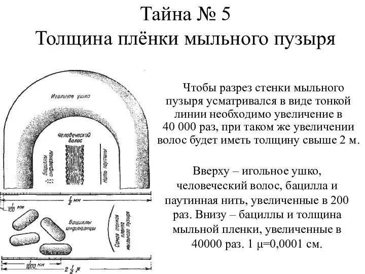 Тайна № 5 Толщина плёнки мыльного пузыря Чтобы разрез стенки мыльного пузыря